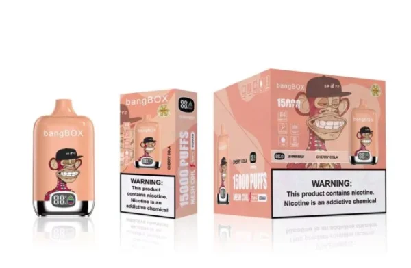 Original Bang Box 15000 puff 15k Digital Disposable Vape Mesh Coil Vaper Vapes Disposable Puff 1500 - Image 6